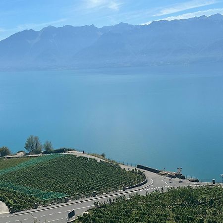 Room With 360° View Overlooking Lake Geneva And Alps Puidoux Zewnętrze zdjęcie