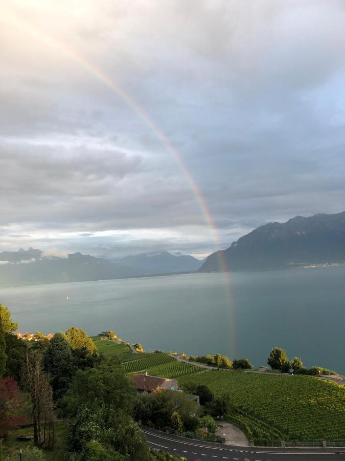 Room With 360° View Overlooking Lake Geneva And Alps Puidoux Zewnętrze zdjęcie