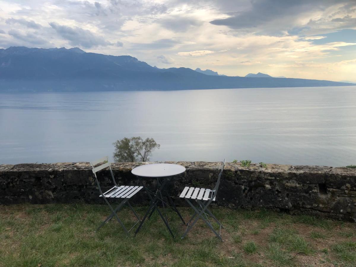 Room With 360° View Overlooking Lake Geneva And Alps Puidoux Zewnętrze zdjęcie