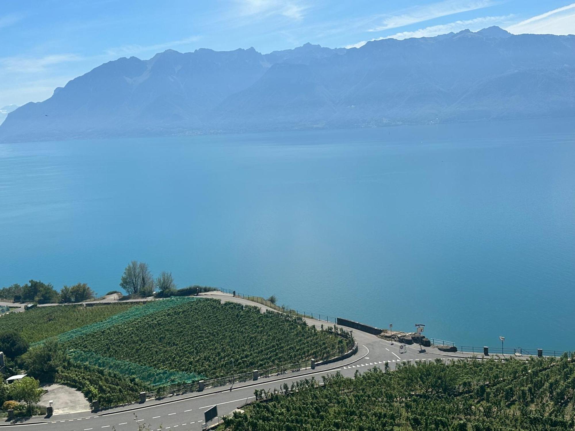 Room With 360° View Overlooking Lake Geneva And Alps Puidoux Zewnętrze zdjęcie